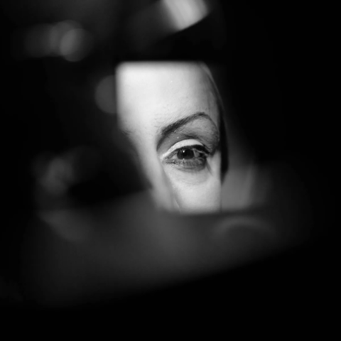 artiste transformiste